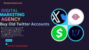 Buy Twitter Accounts